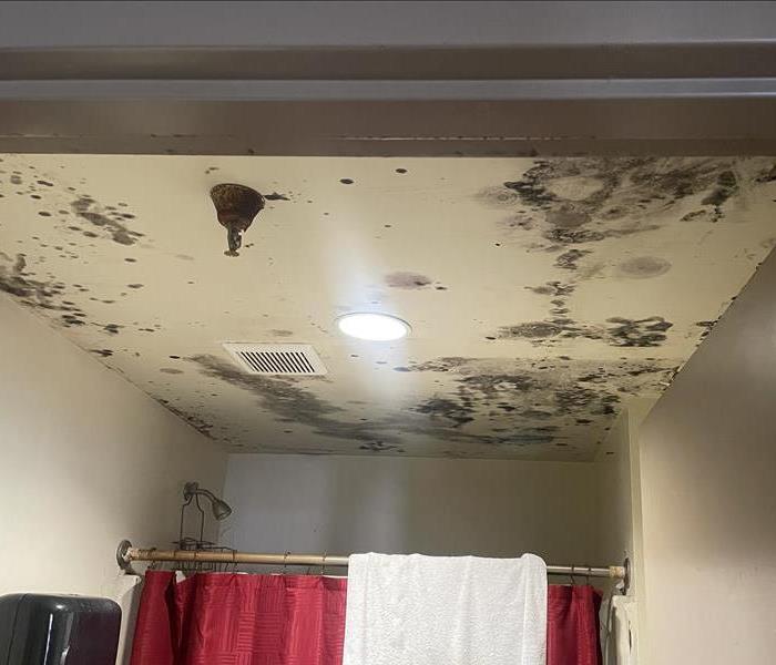 Mold on the ceiling of a bathroom.